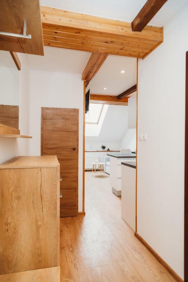 Center City Charming Loft Apartment Kosice Ngoại thất bức ảnh